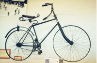 219/A - Gary COOK collection