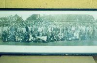 219/D - Gary COOK Collection