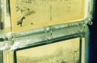 219/D - Gary COOK Collection