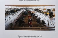 217/C - Musée Automobile de Vendée