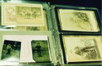 219/D - Gary COOK Collection
