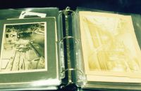 219/D - Gary COOK Collection