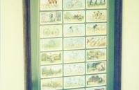 219/C - Gary COOK Collection