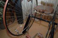 9/G. VELORAMA - tricycles and quadricycles, Nijmegen – Netherlands