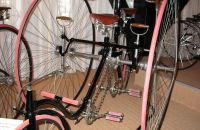 9/G. VELORAMA - tricycles and quadricycles, Nijmegen – Netherlands
