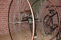 9/G. VELORAMA - tricycles and quadricycles, Nijmegen – Netherlands