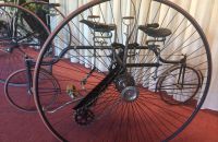 9/G. VELORAMA - tricycles and quadricycles, Nijmegen – Netherlands