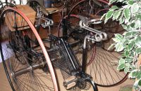 9/G. VELORAMA - tricycles and quadricycles, Nijmegen – Netherlands