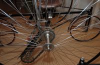 9/G. VELORAMA - tricycles and quadricycles, Nijmegen – Netherlands