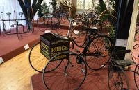 9/G. VELORAMA - tricycles and quadricycles, Nijmegen – Netherlands