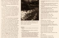 228/D Dennis McDonald´s article