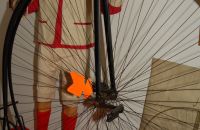 11. The Cycle Museum,  Favrieux – Francie