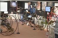 35/D. The Bicycle Museum of America - USA