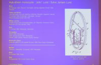 Stephen Ranson - 29th ICHC 2018