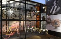 230 - BICYCLES! A Love Story
