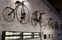 230 - BICYCLES! A Love Story