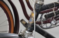 231 - Expo  "200 Jahre Radfahren" 2018
