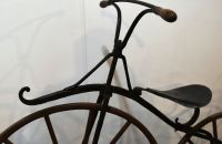 Witty Velocipede
