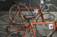 17. Favorit F 11a, 1956