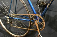 7. Favorit, 1953