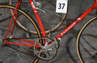 36. Favorit, 1987