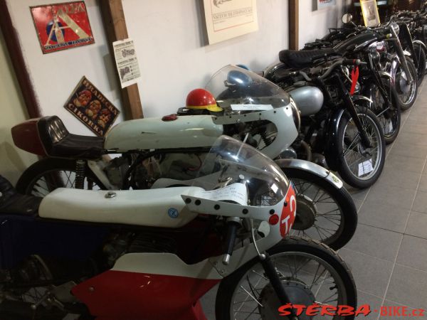 240 - Museum Kuks 2019