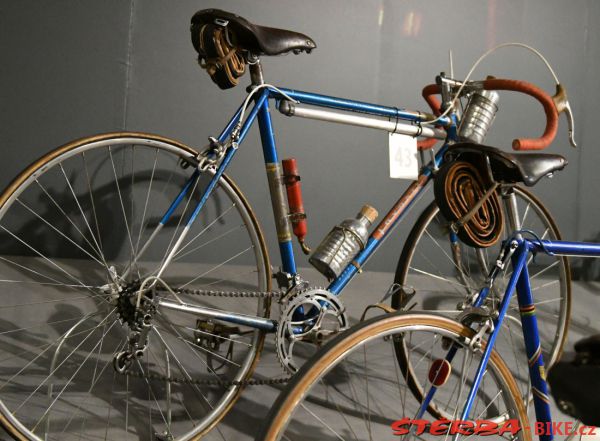 43. Favorit 1956