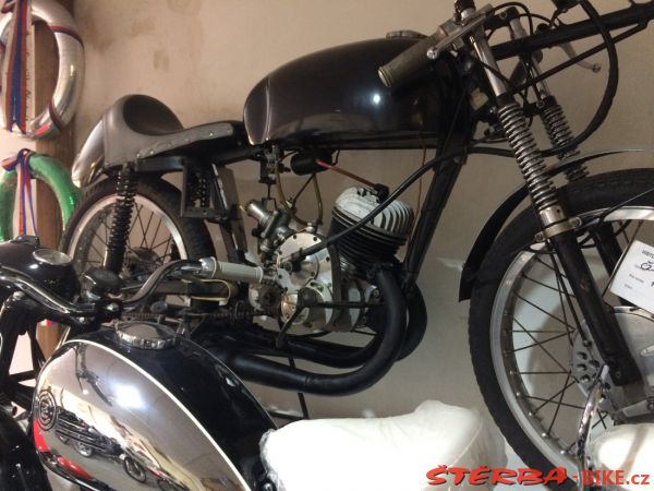 240 - Museum Kuks 2019