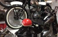 240 - Museum Kuks 2019