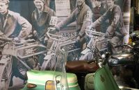 240 - Museum Kuks 2019