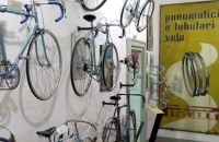 242/C - Collezione A. & C. Azzini