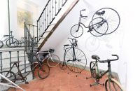 242/C - Collezione A. & C. Azzini