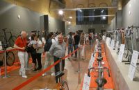242/B - Collezione A. & C. Azzini