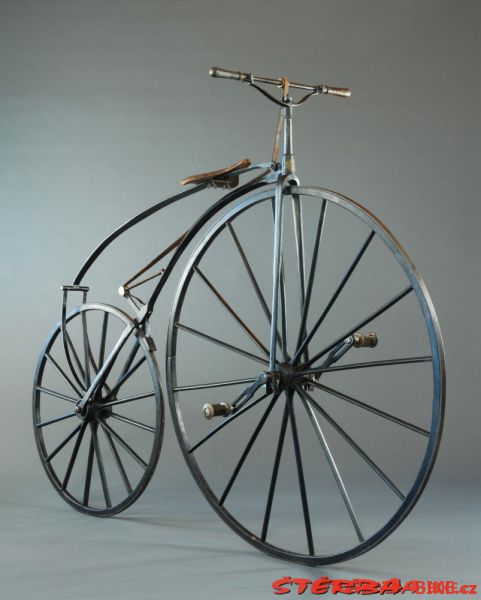 Boeuf A. velocipede