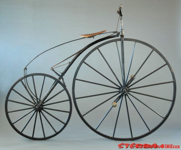 Boeuf A. velocipede