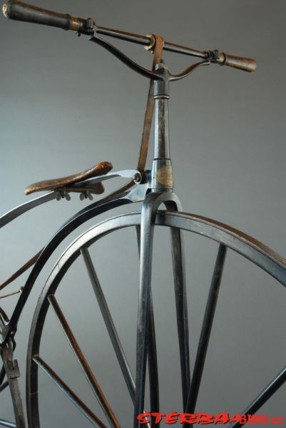 Boeuf A. velocipede