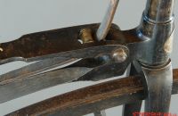 Boeuf A. velocipede