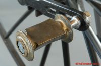 Boeuf A. velocipede