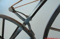 Boeuf A. velocipede