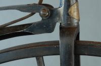 Boeuf A. velocipede