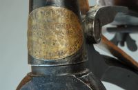 Boeuf A. velocipede