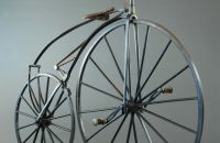 Boeuf A. velocipede