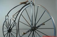 Boeuf A. velocipede