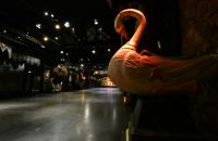 247/C - Musée des Arts forains
