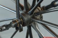 Boeuf A. velocipede