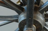 Boeuf A. velocipede