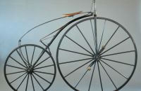 Boeuf A. velocipede