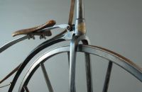 Boeuf A. velocipede