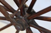 Boeuf velocipede