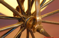 Raux bronze velocipede